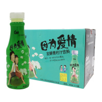 金果源发酵青柠汁饮料450ml*15瓶 整箱装发酵饮品