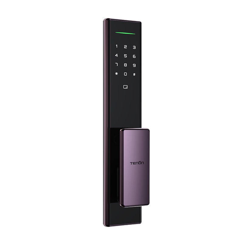 亚太天能（TENON）微信智能指纹锁家用指纹密码锁电子门锁 A5 星空紫