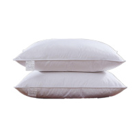 羽绒鹅毛枕芯