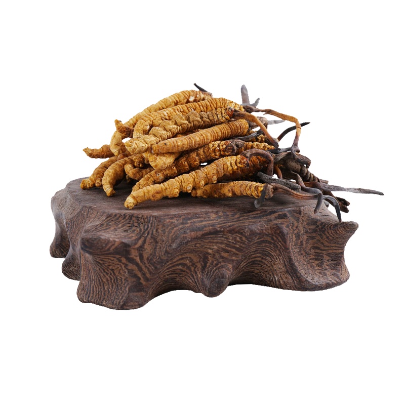 群安堂冬虫夏草4根/克