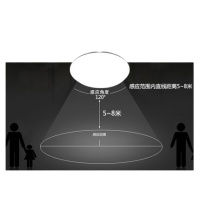 军根 楼梯感应灯 led感应灯楼道吸顶灯人体感 应声控光控雷达灯楼梯走廊 单铝/雷达 感应/24W白光