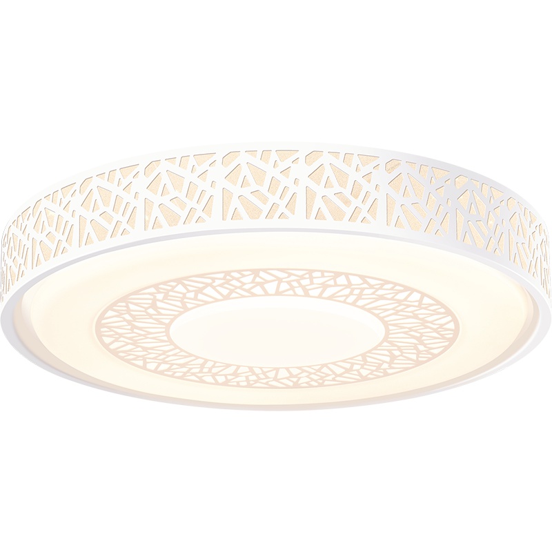 雷士照明（NVC）LED吸顶灯卧室灯客厅灯书房灯遥控无极调光简约现代灯饰灯具24W 适用面积10-15平米