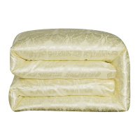 SNIOTACARE 水洗棉子母被子棉被提花礼品被加厚冬被跑江湖被芯 AQN-030005