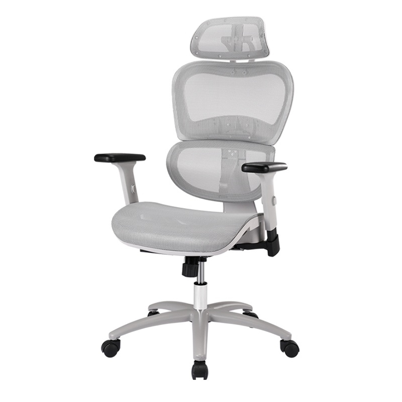 达宝利中学生学习椅青少年座椅初中高中学生椅子矫姿写字椅子家用