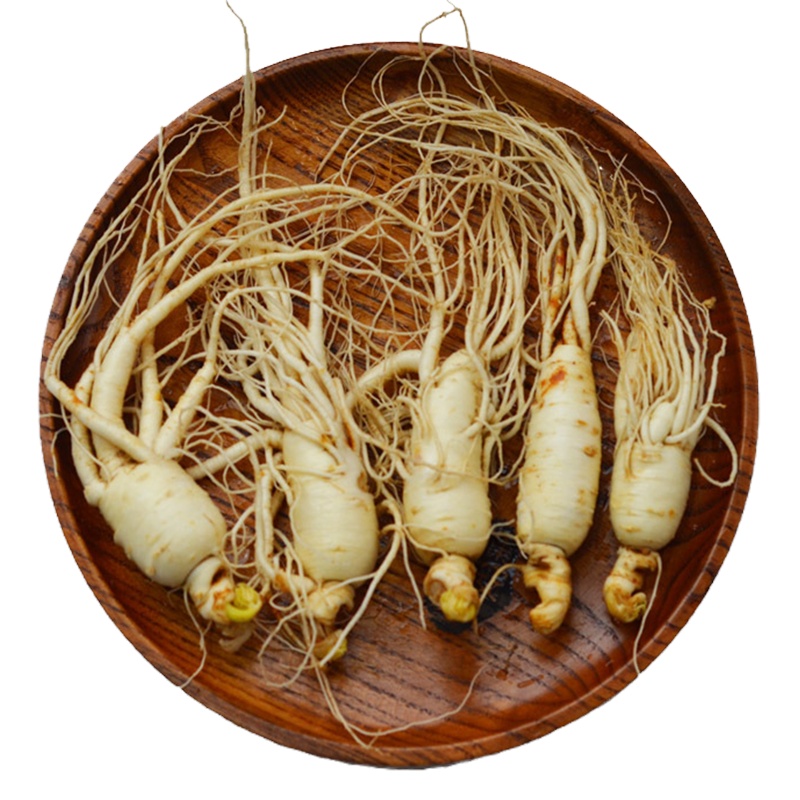 [买5送1]权禄新鲜保鲜人参(约40-60克)煲汤泡酒佳品东北人参  非山参西洋参党参33