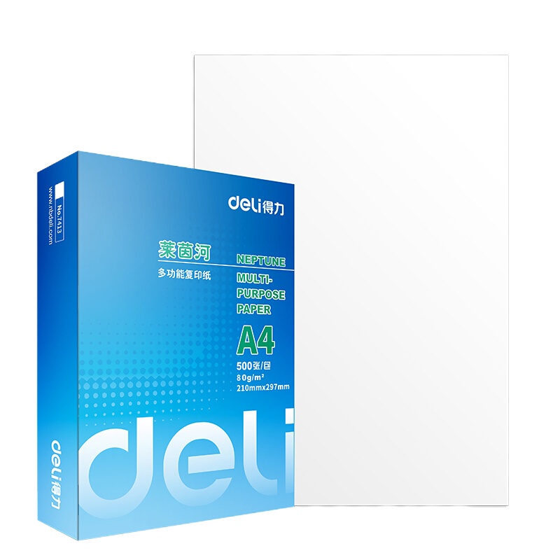 得力(deli) 莱茵河复印纸 7419 A4 80g 5包/箱 单包装