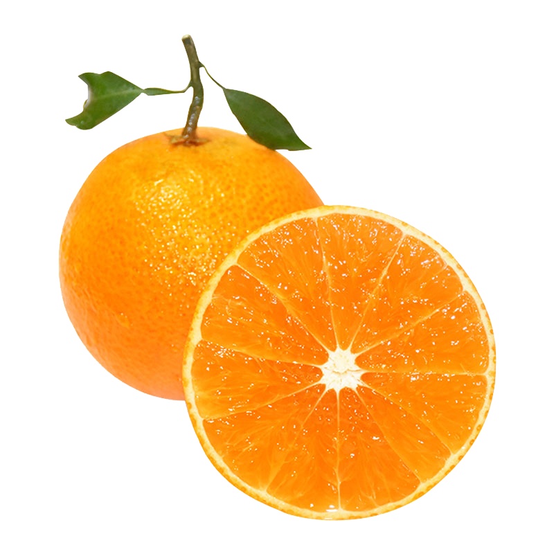 四川蒲江耙耙柑8斤（大果 净重） 现摘发货新鲜水果 【坏果包赔】