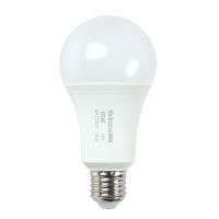 红壹佰 A3-3 15W E27 6500K LED 小球泡 螺口圆灯泡 10只装
