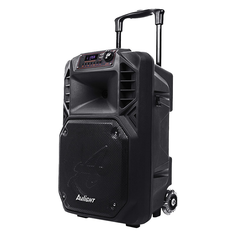 爱浪(AvliGHT)DT20-12户外演出广场舞音响大功率移动拉杆音箱重低音无线蓝牙K歌