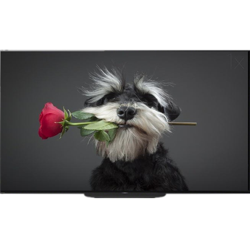 索尼(SONY)KD-65A9G 65英寸 OLED X1旗舰芯片 AI智能语音 杜比全景声及视界 液晶电视