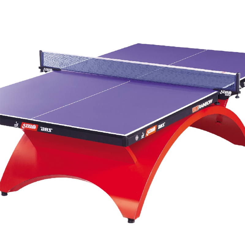 DHS大彩虹乒乓球台 室内运动健身比赛训练乒乓球桌 健身器材