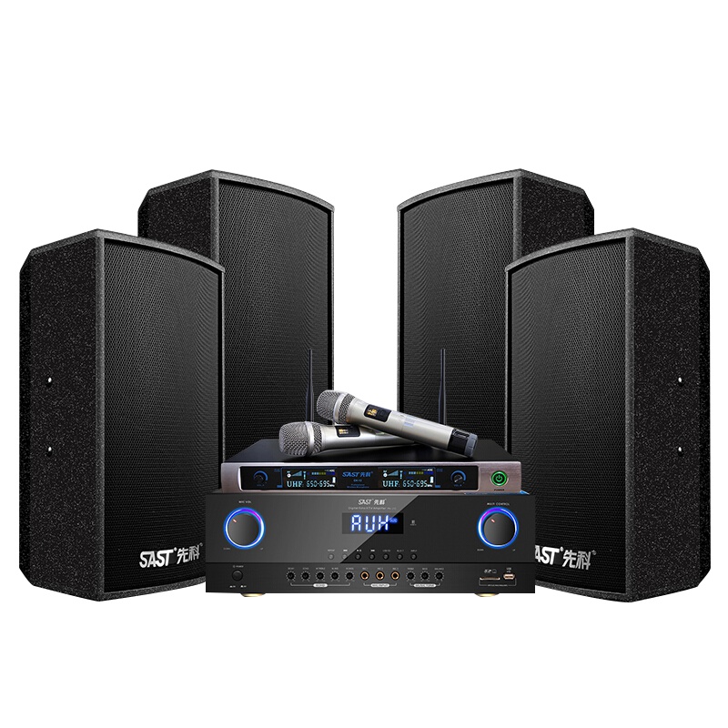 先科（SAST）家庭影院ktv音响套装 专业会议音响全套 卡拉OK功放组合 多功能厅音箱套装