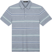 千纸鹤男士短袖上衣2020夏季新款青年休闲翻领polo衫体恤25179