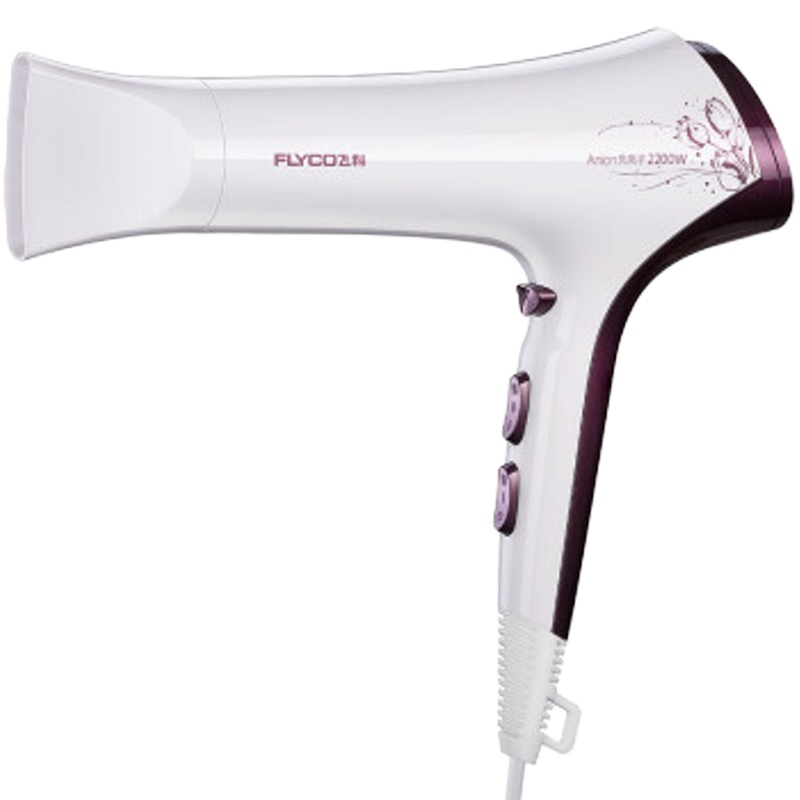 飞科电吹风FH6272