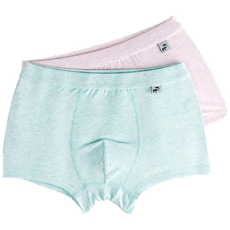 派蒂兔(Paiditu)两条装儿童内裤平角纯棉男童内裤四角彩棉底裤宝宝中大童短裤