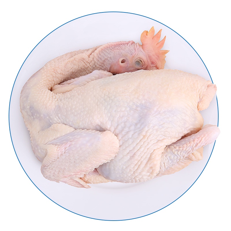 天农优品TINOO S DELICIOUS 凤中皇 清远 臻品清远鸡 800g/只 新鲜农家散养土鸡 冰鲜禽肉 简装