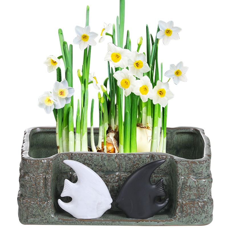 裕轩堂 铜钱草花盆容器水仙花睡莲碗莲无孔家用陶瓷水养水培多肉大号特价清仓