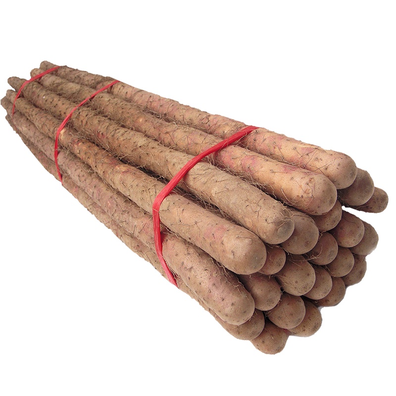 正宗铁棍山药生鲜2.5斤 新鲜蔬菜现挖垆土铁棍淮山药怀山药麻山药