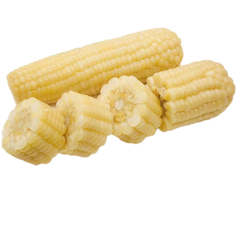 10棒森耘东北新鲜甜糯玉米棒真空包装黏玉米黄糯玉米棒200克每棒