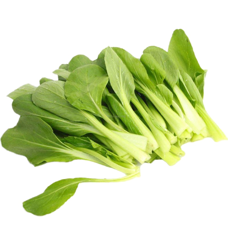 津沽园艺 蔬菜种子 上海鸡毛菜种子 青菜种子 四季可种彩包20克