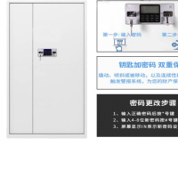 盛浪电子通体带抽 文件保密柜 通体带抽 Z