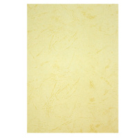 驰鹏 彩色卡纸 A4卡纸 浅黄色 230g 100张/包