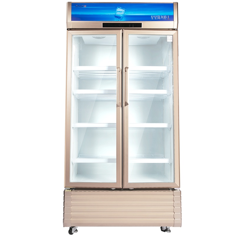 星星(XINGX) LSC-810WD 810升 双门冷藏展示柜 立式商用冰柜 保鲜柜 陈列柜 啤酒柜 饮料柜