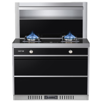 [热卖爆品]先科SAST/ T6-1 液化气 集成灶厨房环保灶一体灶台 侧吸式抽油烟机燃气灶操作更便捷 智能熄火保护