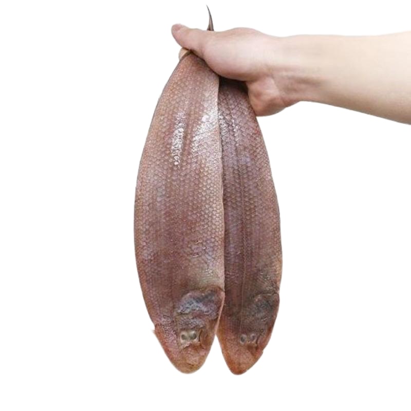 新鲜海捕龙利鱼舌头鱼踏板鱼牛舌鱼鱼柳鳎目鱼海鲜冷冻水产 特大5斤装(一斤2条)