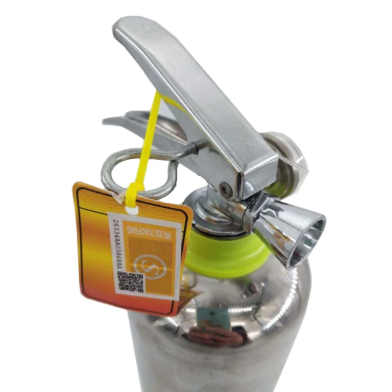 金穗慧采 6311 不锈钢干粉灭火器手提式4公斤车载灭火器家用厨房灭火器 4kg,1个