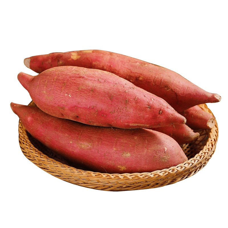 福建沙地红蜜薯 5斤装 中果