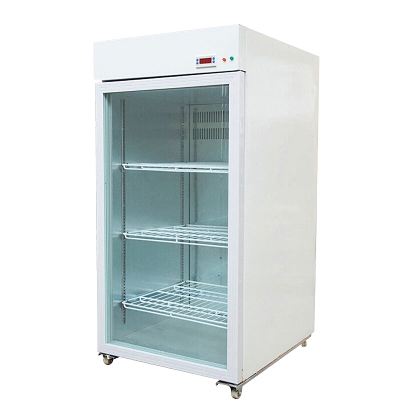 夏新(AMOI) 300升热饮柜商用饮料保温柜展示柜 牛奶咖啡饮料保温柜 热饮机饮料柜 超市便利店立式加热柜