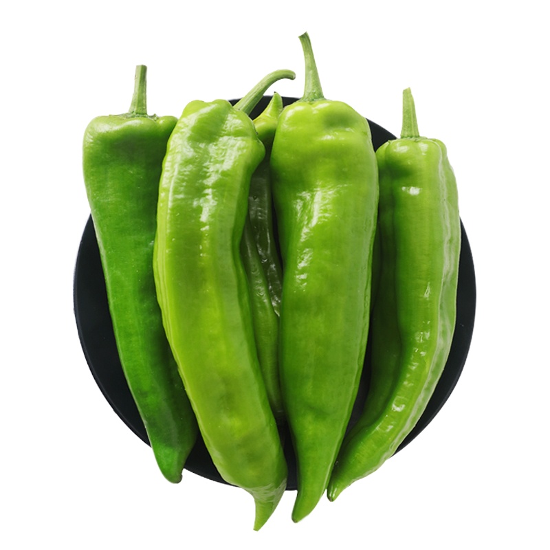 青椒 500g