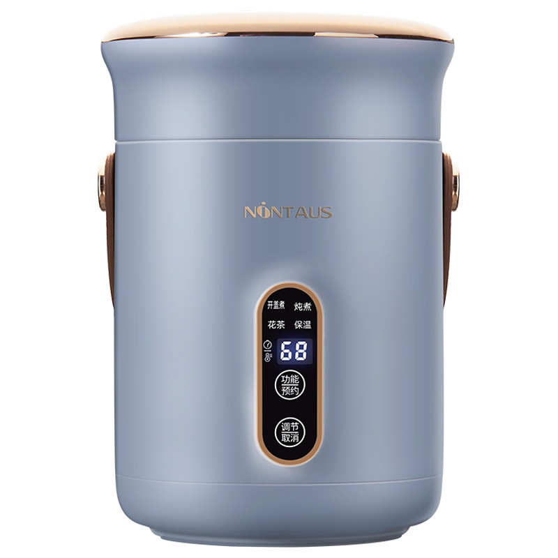 金正(NiNTAUS)电炖锅多功能电煮锅1-2人迷你便携养生电炖盅家用小锅一人食煮粥神器煲汤自动保温 JZD-606蓝色