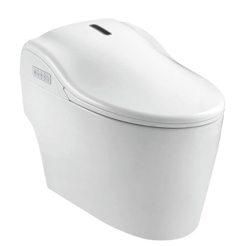 法恩莎卫浴智能马桶一体式座便全自动即热式座坐便器FB16106-A