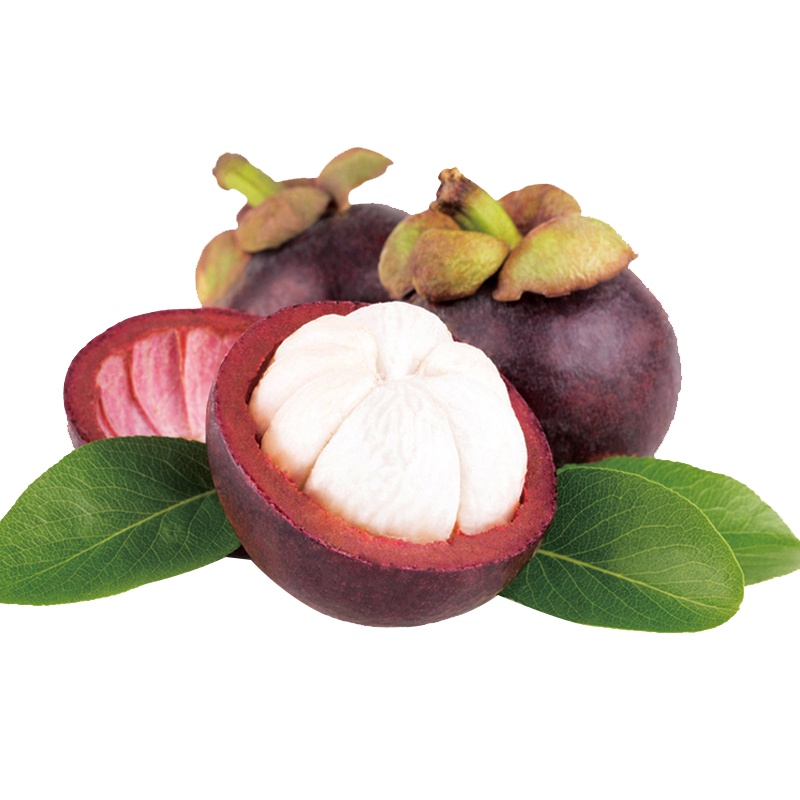 预售[西沛生鲜]顺丰冷链 泰国进口山竹 净重2.8斤 中果 3A 热带新鲜水果