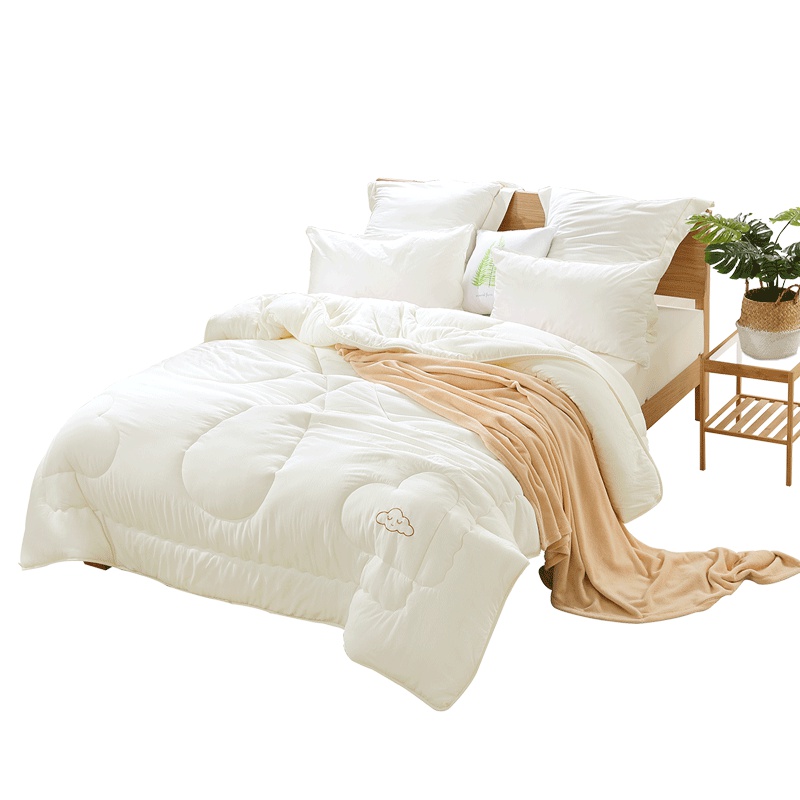 百丽丝（BLISS）家纺水星出品 暖妹大豆春秋被子加厚保暖双人冬季纯色被芯单人2.0*2.3m