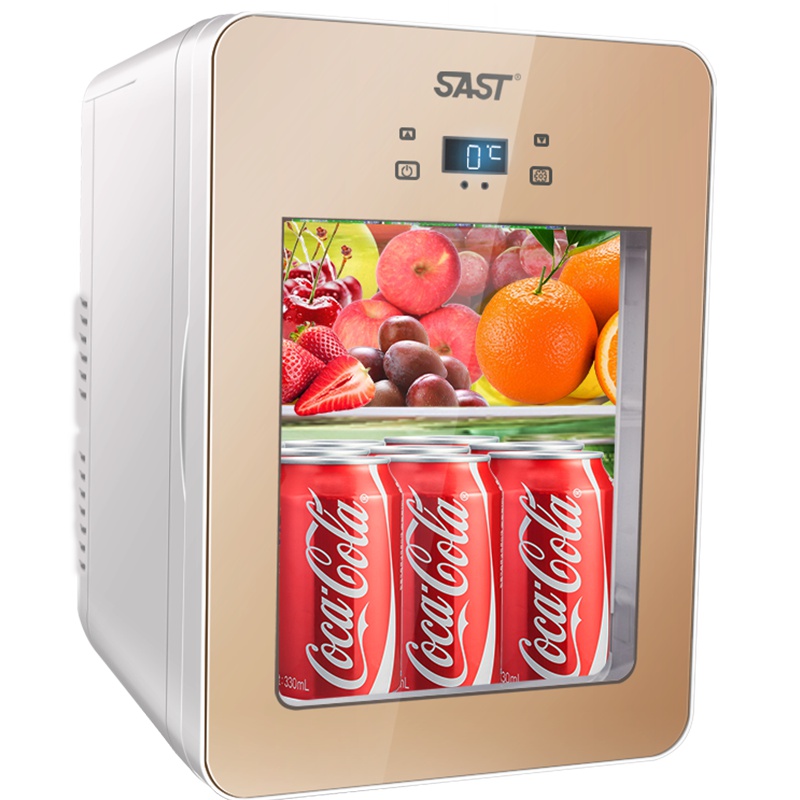 先科(SAST)22L迷你车载冰箱制冷车家两用小型家用透明玻璃 便捷式微型小冰箱冷暖箱 电子冰箱 单核制冷 雪花银