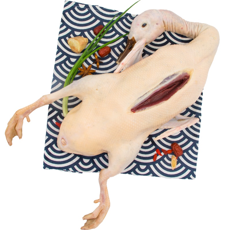 农谣 苏北农家散养老鸭 土鸭 鸭子肉 整只装 杀前重约2500g 稻田散养麻鸭 现杀现发