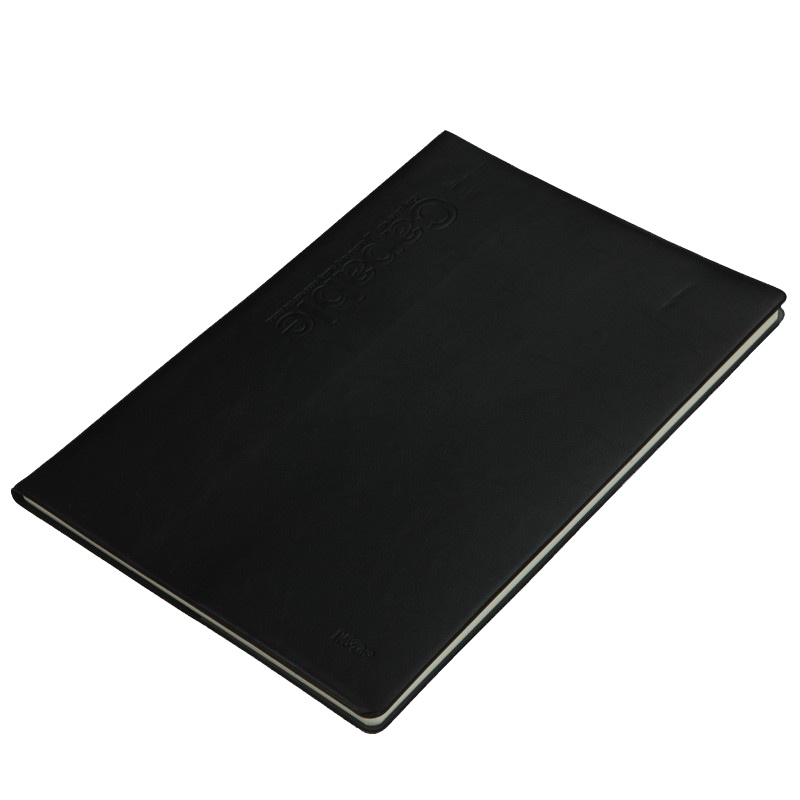 晨光(M&G)APYLL488 B5/76页记事本皮面2本175*252mm/雅纹皮本缝线软抄本记事本办公活页本