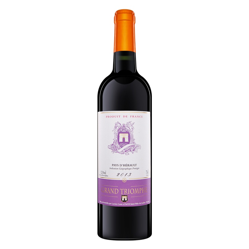 法国原瓶进口 凯旋门埃罗干红葡萄酒750ml*1单支装