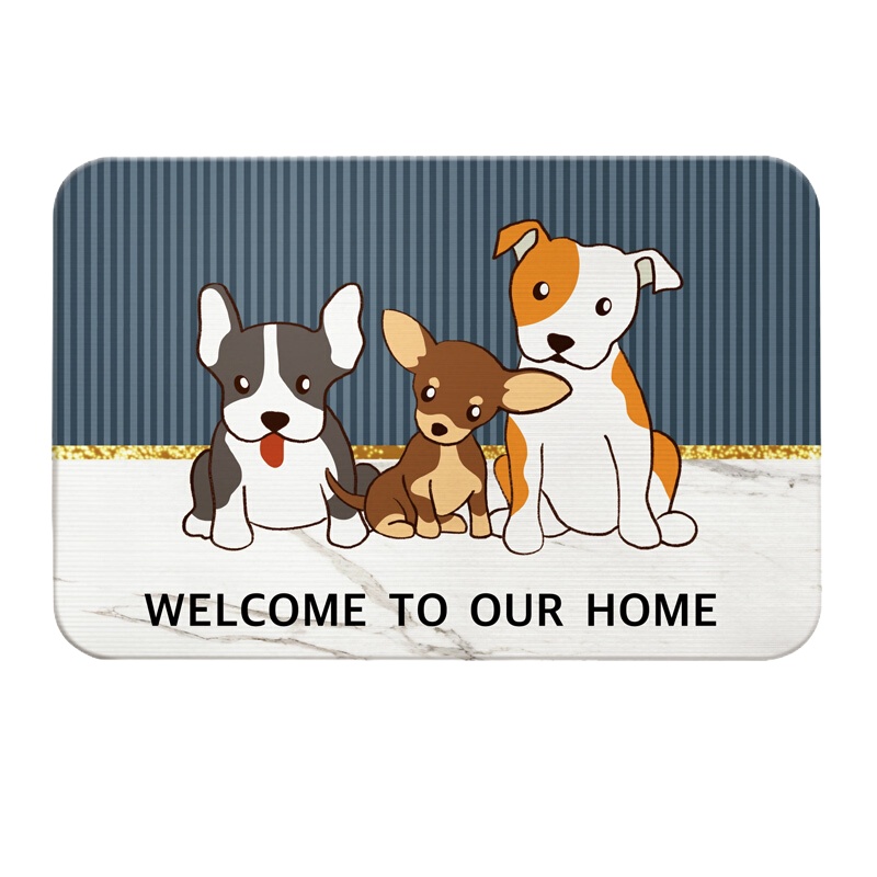 绿之源 硅藻泥速干地垫浴室防滑垫强吸水门垫快干脚垫防潮防霉除湿速干垫子赠防滑垫磨砂(39*60cm)