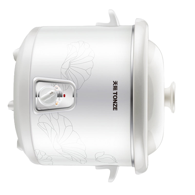 天际微电脑电炖锅 DDG-8B