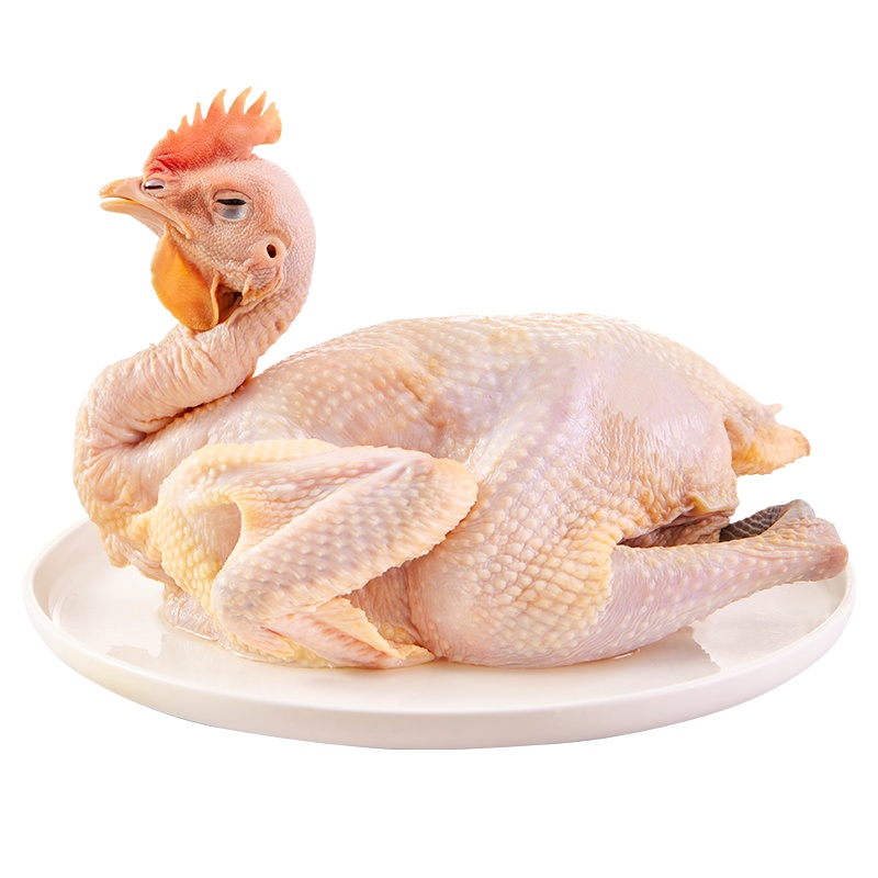 天农 高原青脚老母鸡900g/只 高原放养400天以上 特色滋补珍禽 高原土鸡走地鸡