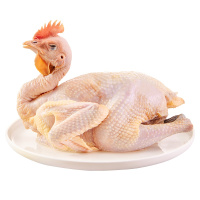 天农 高原青脚老母鸡900g/只 高原放养400天以上 特色滋补珍禽 高原土鸡走地鸡
