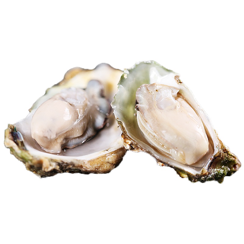 [鲜活]味库 乳山鲜活生蚝珍珠蚝 2.5kg (约70-90克一只) 鲜活海蛎子 牡蛎 冷水蚝净重4,5斤装