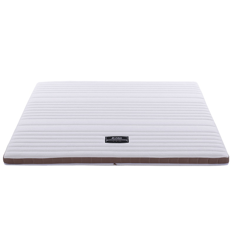 依丽兰床垫5/8/12cm 天然环保3E椰棕护脊硬床垫 可拆洗布艺薄棕垫 老人透气榻榻米 简约现代卧室家具 棕师