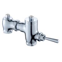 桂花牌蹲坑冲洗阀