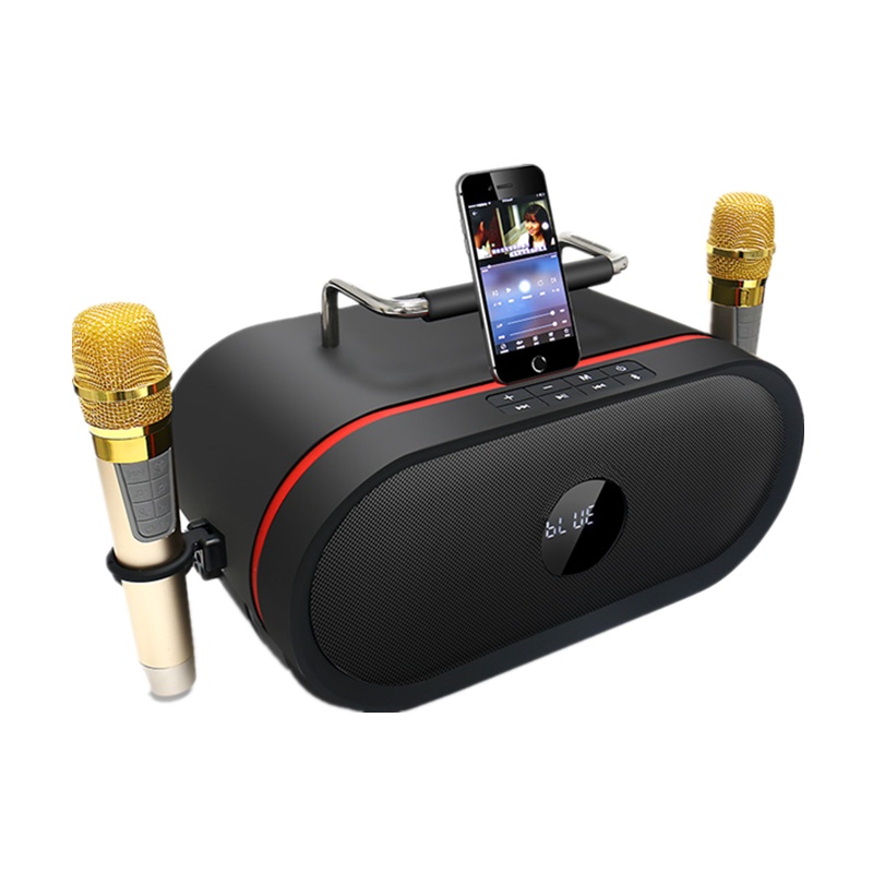 RHM/皇马 K666 广场舞音响音箱家庭KTV无线话筒K歌音响户外便携式播放器 迷你/组合音响