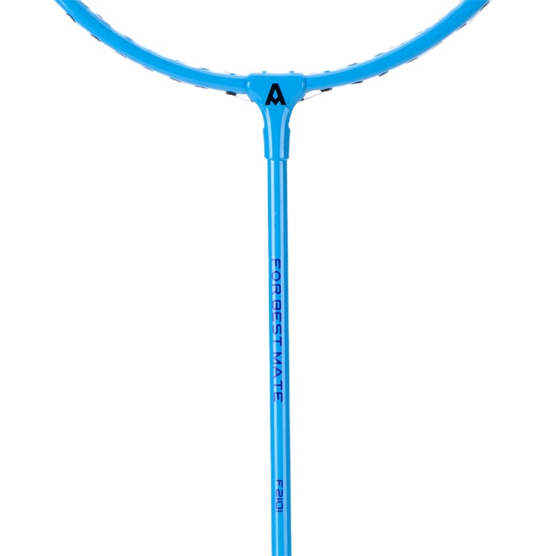 企购优品安格耐特(Agnite)羽毛球拍耐用 男女入门初学者对拍 送三球 F2101